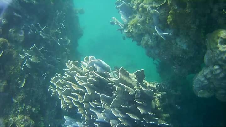 Coco Cabana Romblon Agpanabat Buitenkant foto